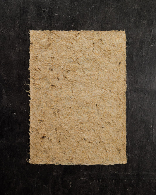 稻稈紙 Rice Straw Paper